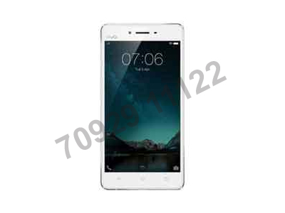 Vivo V3 Service